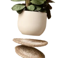 Typography Teal Printed Tshirt