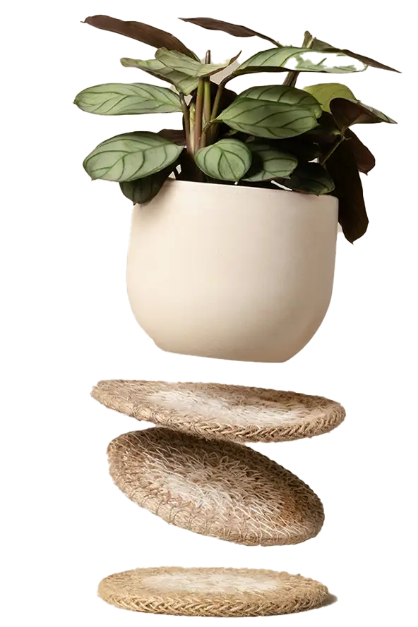 Typography Teal Printed Tshirt