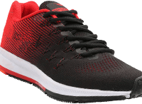 Fringilla Phasellus Faucus Scelerisque Eleifend Donec