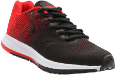 Fringilla Phasellus Faucus Scelerisque Eleifend Donec