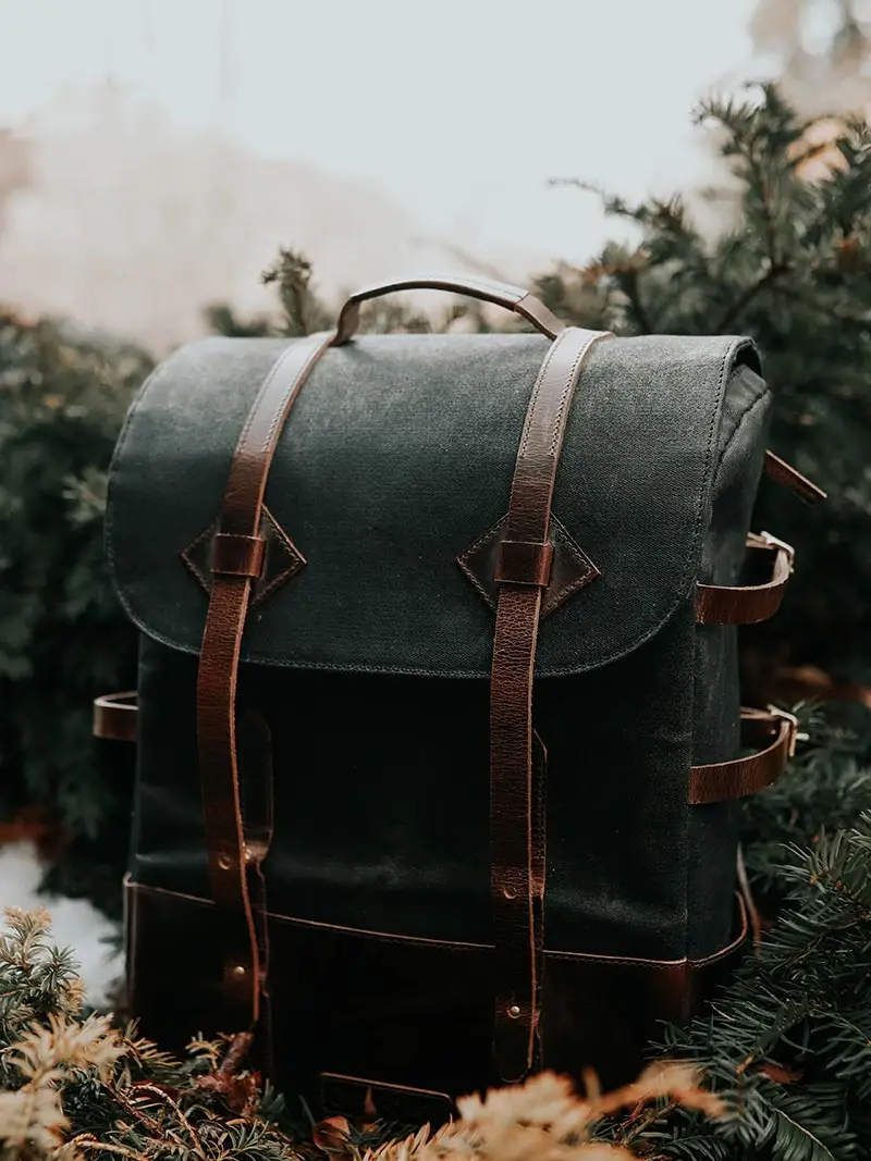 Scelerisque mauris pellentesque pulvinar – Image 2